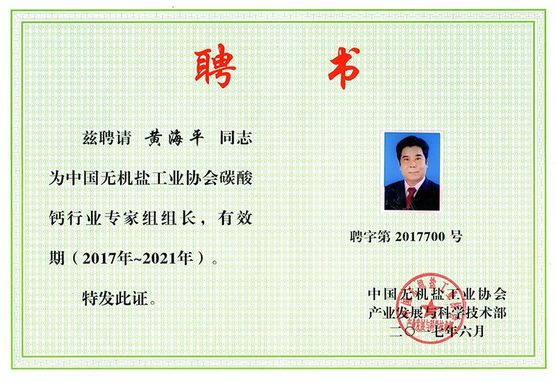 專(zhuān)家組組長(zhǎng)2017-2021