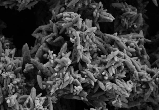 工業(yè)沉淀碳酸鈣