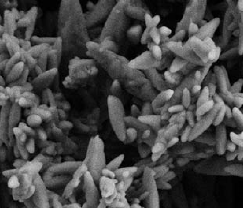 微細(xì)活性碳酸鈣